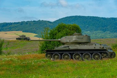 Dünya Savaşı tankı Slovakya 'daki Ölüm Vadisi' nde.