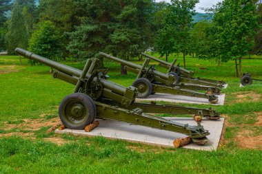 Silahlar Svidnik, Slovakya 'daki Askeri Tarih Enstitüsü önünde sergilendi.