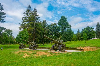 Silahlar Svidnik, Slovakya 'daki Askeri Tarih Enstitüsü önünde sergilendi.