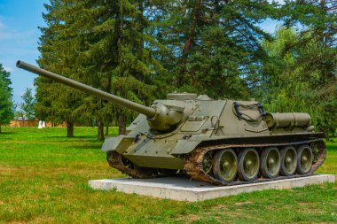 Silahlar Svidnik, Slovakya 'daki Askeri Tarih Enstitüsü önünde sergilendi.