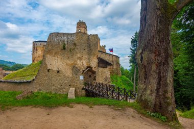 Zborov Kalesi Slovakya 'da bir yaz günü.