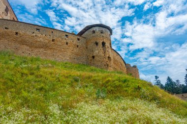 Zborov Kalesi Slovakya 'da bir yaz günü.