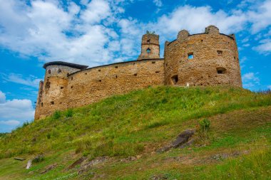 Zborov Kalesi Slovakya 'da bir yaz günü.