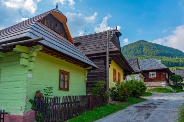 Geleneksel Slovakya köyünde yaz günü. Görüntü