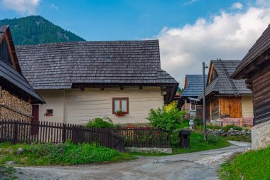 Geleneksel Slovakya köyünde yaz günü. Görüntü