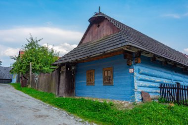 Geleneksel Slovakya köyünde yaz günü. Görüntü