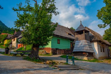 Geleneksel Slovakya köyünde yaz günü. Görüntü