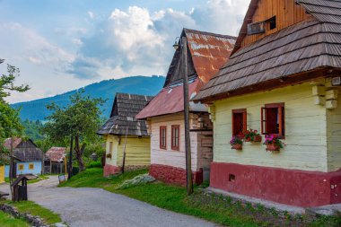 Geleneksel Slovakya köyünde yaz günü. Görüntü