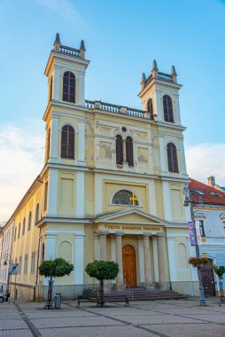 Banska Bystrica, Slovakya 'daki Saint Francis Xavier Katedrali.