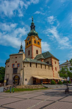 Slovakya 'daki Banska Bystrica şatosunun görüntüsü.