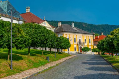 Slovakya 'daki Stefanik Meydanı' nda renkli evler.
