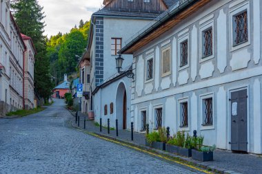 Slovakya 'nın Banska Stiavnica kentindeki tarihi evler.