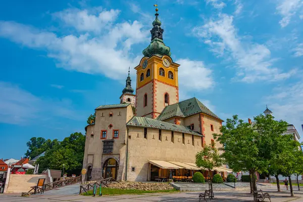 Slovakya 'daki Banska Bystrica şatosunun görüntüsü.