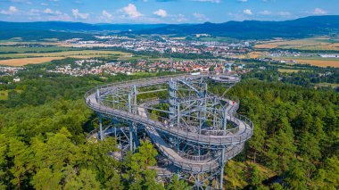 Bojnice, Slovakya 'daki Bulutlar Gözetleme Kulesi' ndeki Martı.