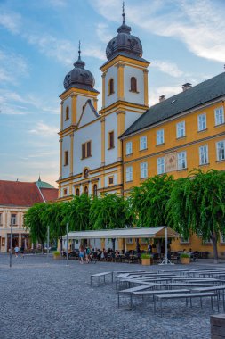 Trencin, Slovakya 'daki Saint Francis Xavier Katedrali.