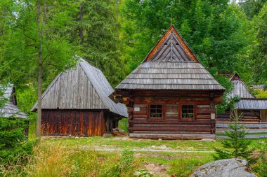 Slovakya 'daki Orava Village Müzesi' nde geleneksel mimari.