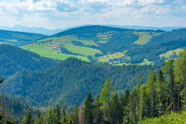 Liptov 'un Slovakya' daki kırsal manzarası.