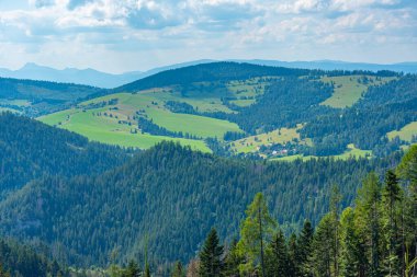 Liptov 'un Slovakya' daki kırsal manzarası.