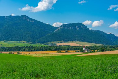 Liptov 'un Slovakya' daki kırsal manzarası.