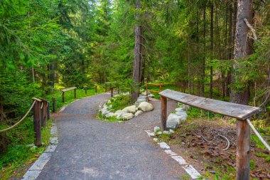 Pribylina, Slovakya 'daki Liptov Köy Müzesi' nde yürüyüş yolu.