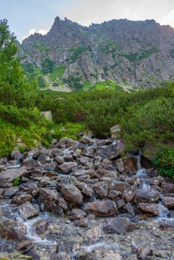 Slovakya 'daki High Tatras Ulusal Parkı' nda Rysy tepesine doğru yürüyüş.