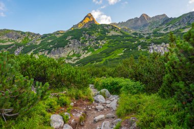 Slovakya 'daki High Tatras Ulusal Parkı' nda Rysy tepesine doğru yürüyüş.