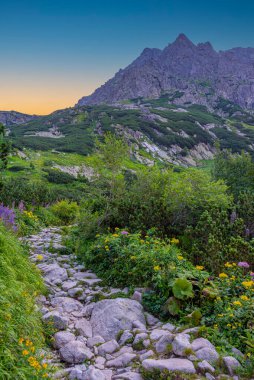 Slovakya 'daki High Tatras Ulusal Parkı' nda Rysy tepesine doğru yürüyüş.