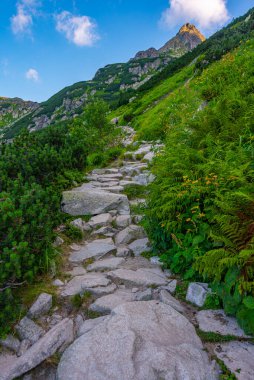 Slovakya 'daki High Tatras Ulusal Parkı' nda Rysy tepesine doğru yürüyüş.