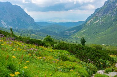Slovakya 'daki High Tatras Ulusal Parkı' nda Rysy tepesine doğru yürüyüş.