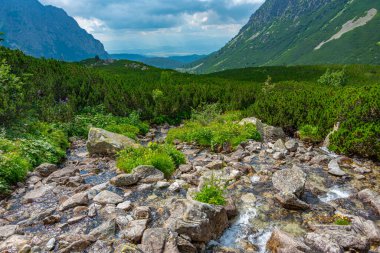 Slovakya 'daki High Tatras Ulusal Parkı' nda Rysy tepesine doğru yürüyüş.