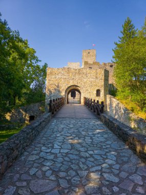 Slovakya 'daki Strecno kalesinin panorama manzarası.