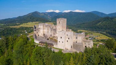 Slovakya 'daki Strecno kalesinin panorama manzarası.