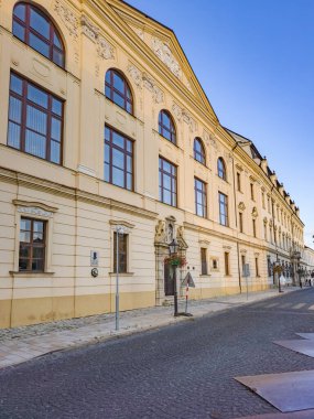 Slovakya 'nın Trnava kentindeki tarihi evler.