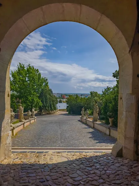 Slovakya 'daki Nitra kalesinin görüntüsü.