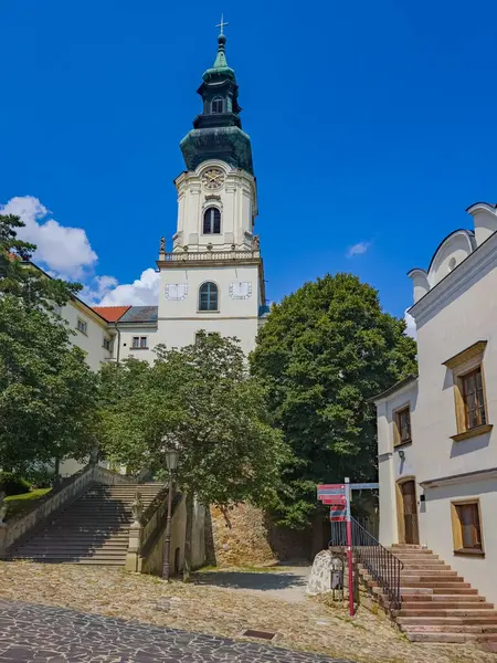 Slovakya 'daki Nitra kalesinin görüntüsü.