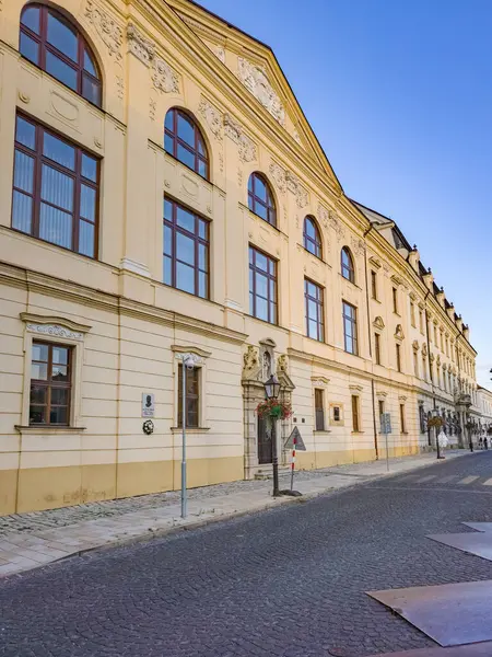 Slovakya 'nın Trnava kentindeki tarihi evler.