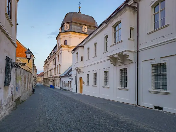 Slovakya 'nın Trnava kentindeki tarihi evler.