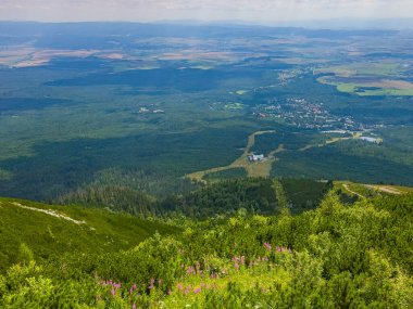 Tatranska Lomnica 'nın Slovakya' daki Panorama manzarası.