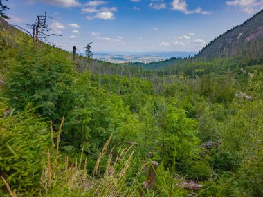 Slovakya 'daki Tatranska Lomnica' da yürüyüş yolu.