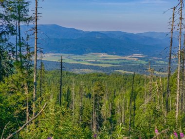 Slovakya 'daki Krivan zirvesine doğru giden High Tatras milli parkının panorama görüntüsü.