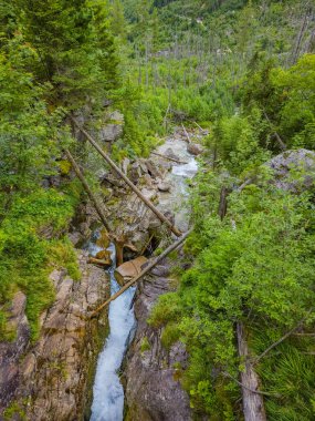 Slovakya 'daki Tatranska Lomnica' da yürüyüş parkurunda akarsu.