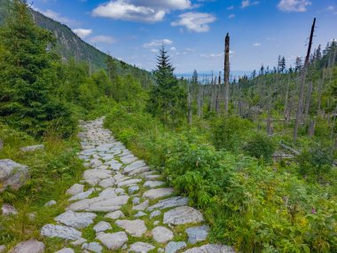 Slovakya 'daki Tatranska Lomnica' da yürüyüş yolu.