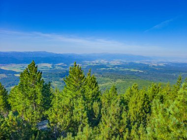 Slovakya 'daki Krivan zirvesine doğru giden High Tatras milli parkının panorama görüntüsü.