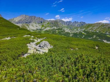 Slovakya 'daki High Tatras Ulusal Parkı Panorama Manzarası