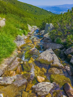 Slovakya 'daki Furkotska Dolina' da yürüyüş parkurunda akarsu.