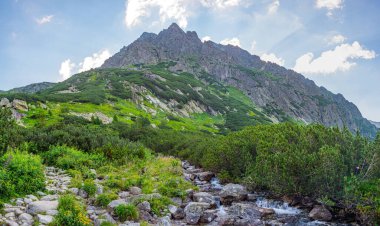Slovakya 'daki High Tatras Ulusal Parkı' nda Rysy tepesine doğru yürüyüş.