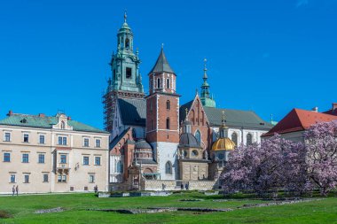 Wawel Katedrali Krakow, Poland.IMAGE 'da güneşli bir günde izlendi