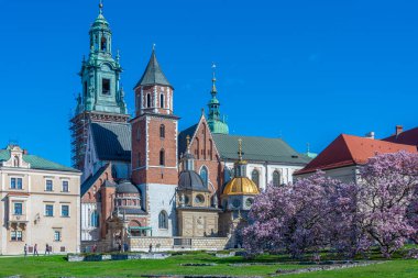 Wawel Katedrali Krakow, Poland.IMAGE 'da güneşli bir günde izlendi