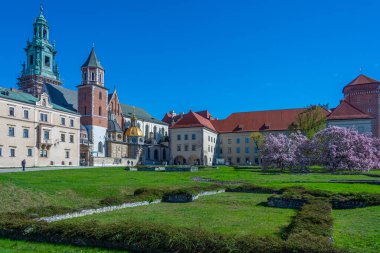 Wawel Katedrali Krakow, Poland.IMAGE 'da güneşli bir günde izlendi