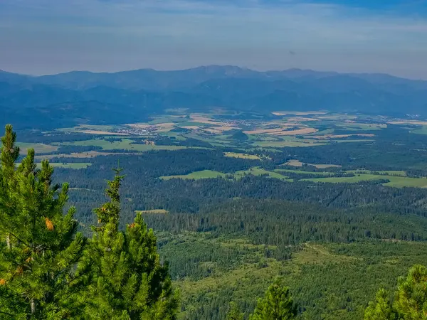 Slovakya 'daki Krivan zirvesine doğru giden High Tatras milli parkının panorama görüntüsü.